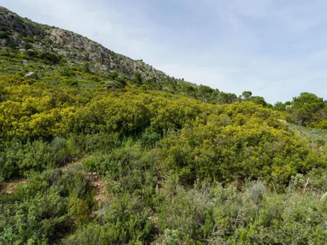 Terreno en venta en Ibi, Alicante photo 4