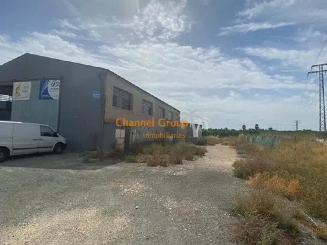 Land for sale in Elche / Elx, Alicante photo 4