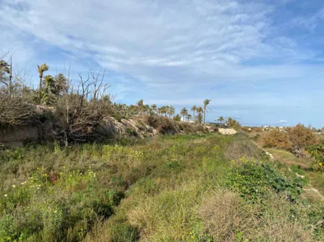 Terreno en venta en Elche / Elx, Alicante photo 2
