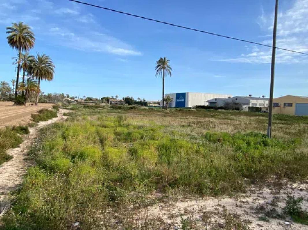 Terreno en venta en Elche / Elx, Alicante photo 4