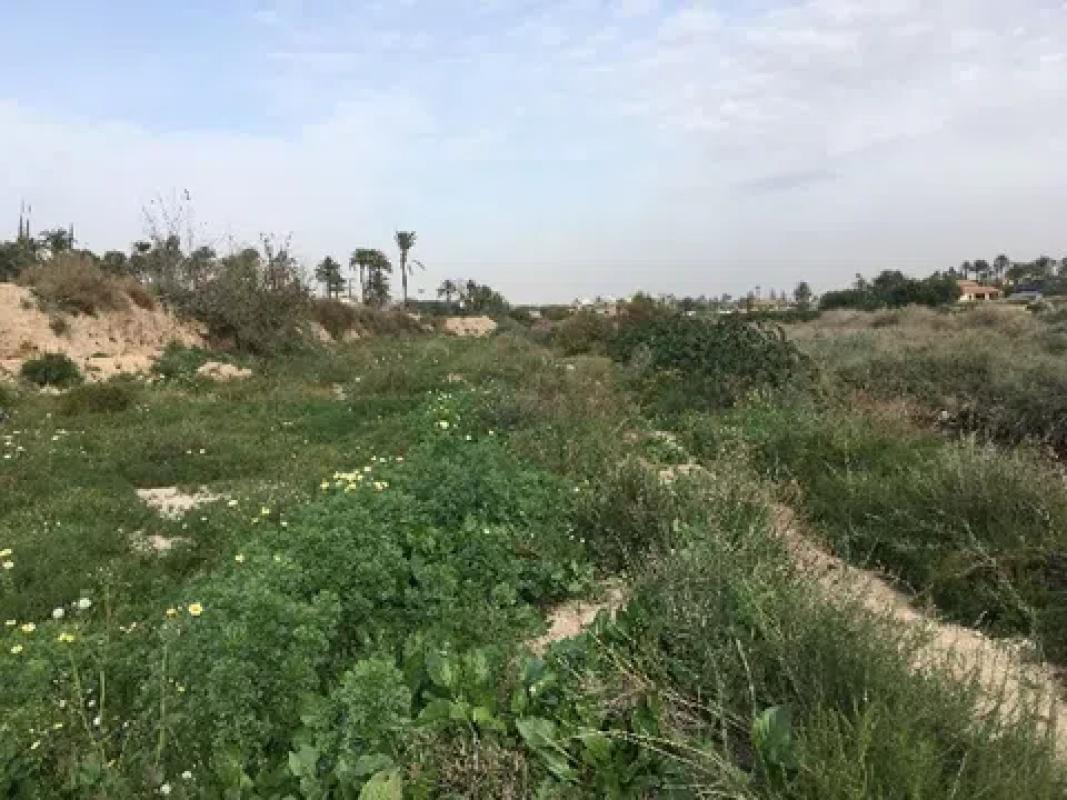 Terreno en venta en Elche / Elx, Alicante photo 5
