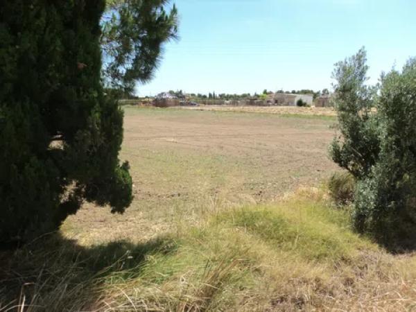 Terreno en Callosa de Segura thumbnail 2