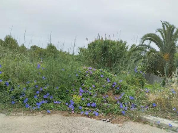 Terreno en piscis, 20 photo 1