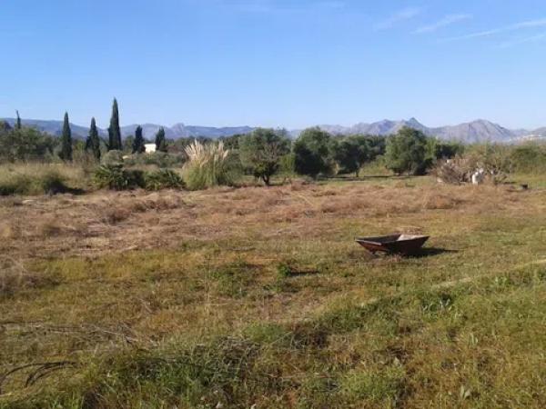 Terreno en Pedreguer photo 3
