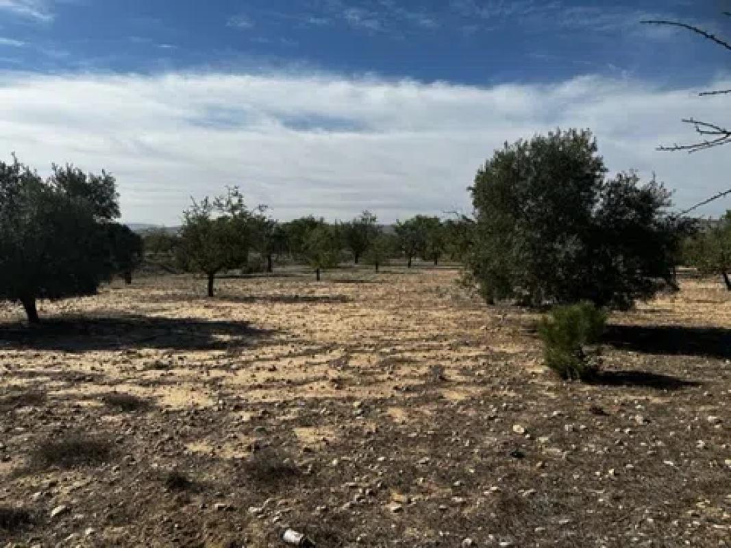 Terreno en venta en Biar, Alicante photo 1