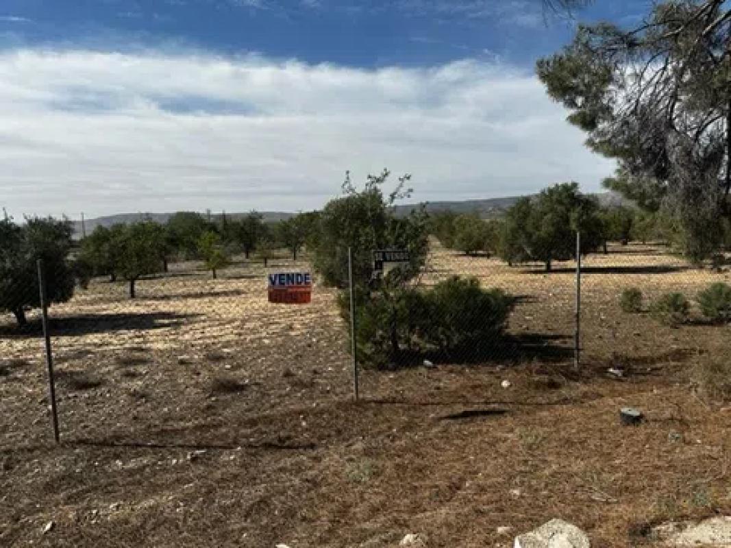 Terreno en venta en Biar, Alicante photo 2