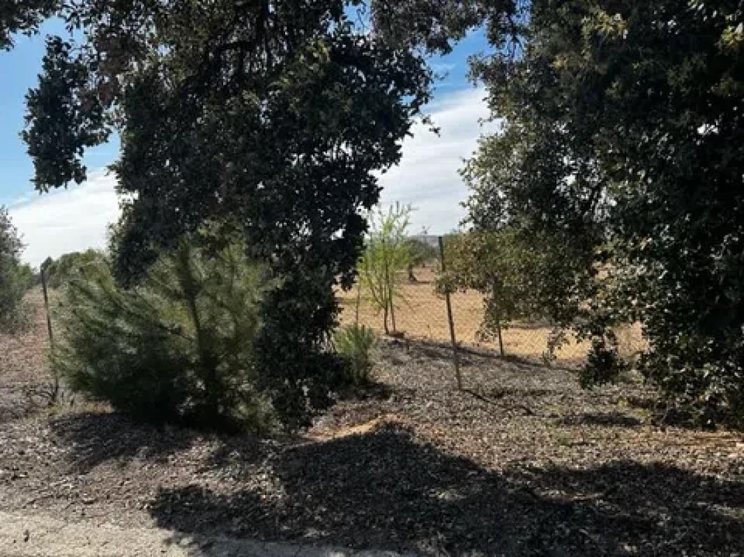 Terreno en venta en Biar, Alicante photo 3