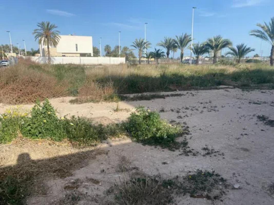 Land for sale in Elche / Elx, Alicante photo 3