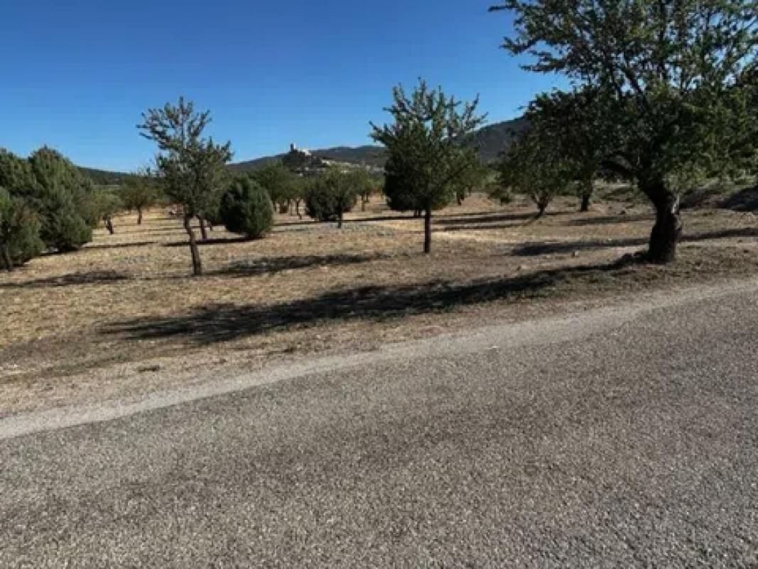 Terreno en venta en Biar, Alicante photo 4