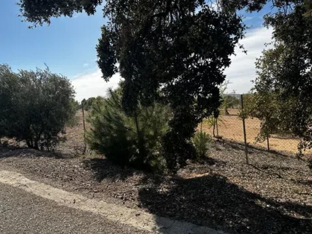 Terreno en venta en Biar, Alicante photo 5