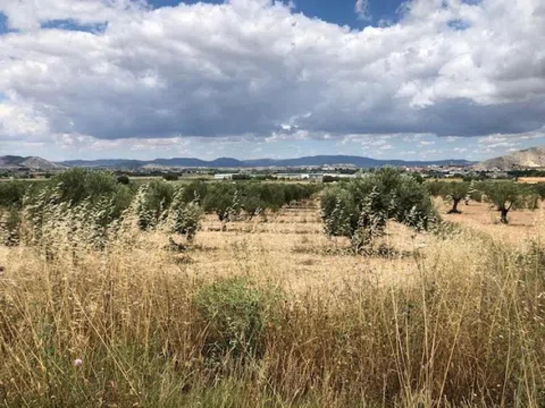 Działka na sprzedaż w Villena, Alicante photo 2