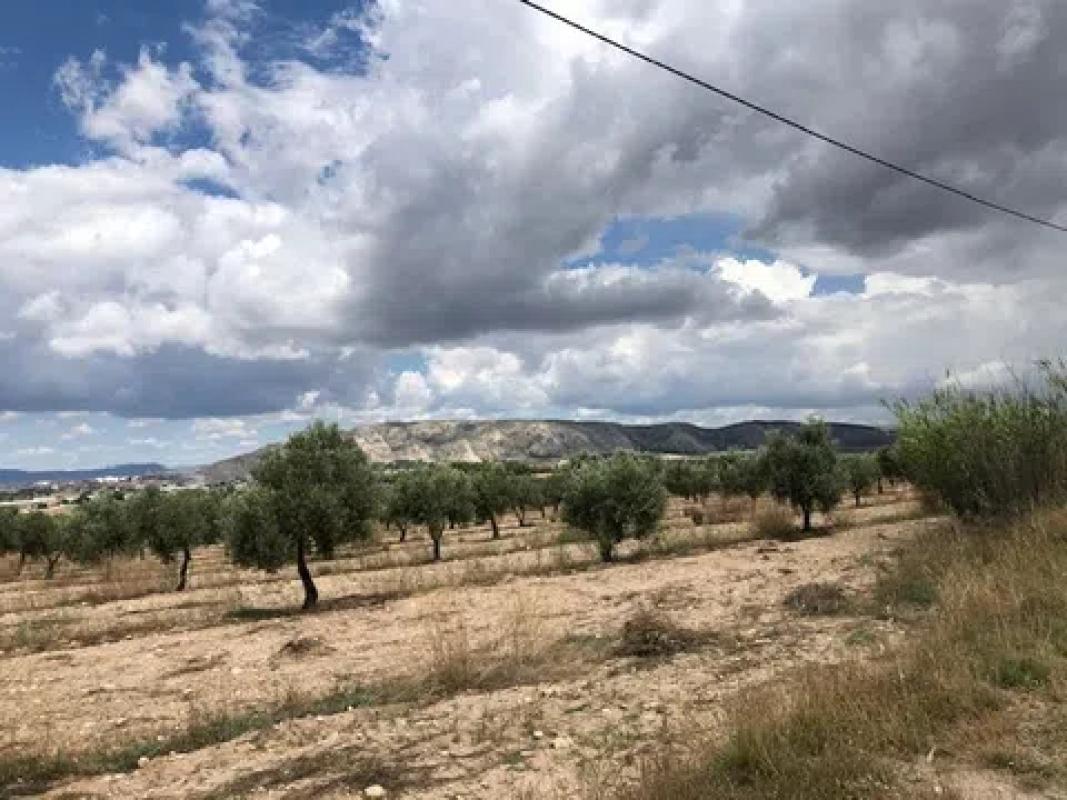 Działka na sprzedaż w Villena, Alicante photo 4