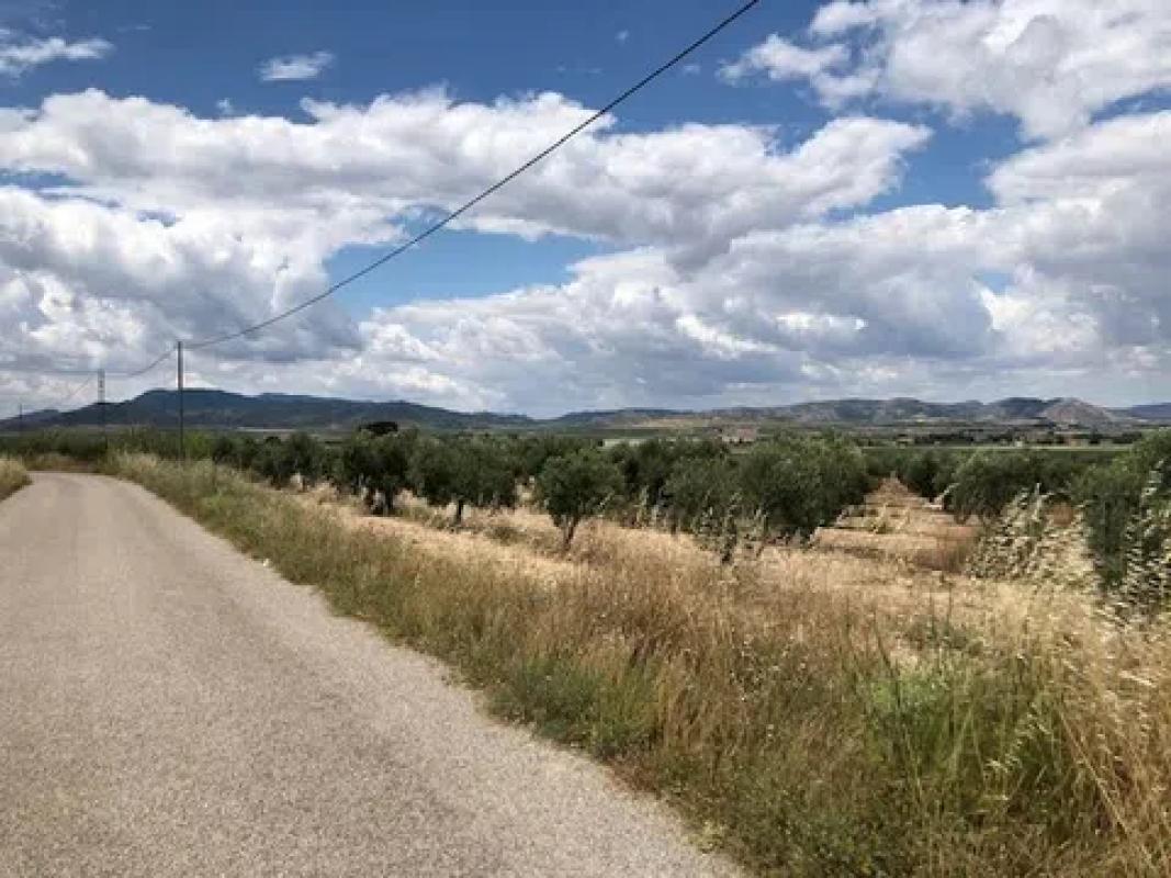 Działka na sprzedaż w Villena, Alicante photo 5