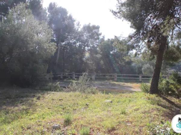 Terreno en camino Tarraula photo 1