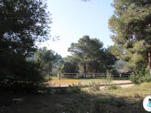 Terreno en camino Tarraula photo 2