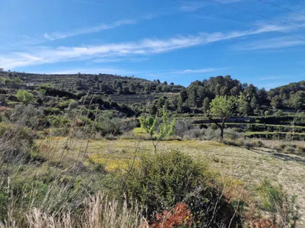 Land for sale in Benissa, Alicante photo 4