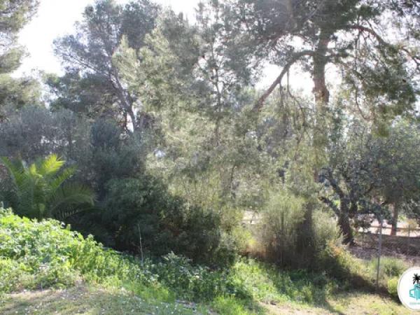 Terreno en camino Tarraula photo 3
