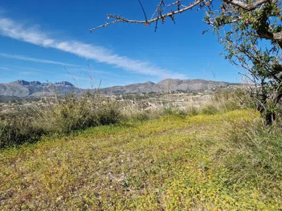 Land for sale in Benissa, Alicante photo 5