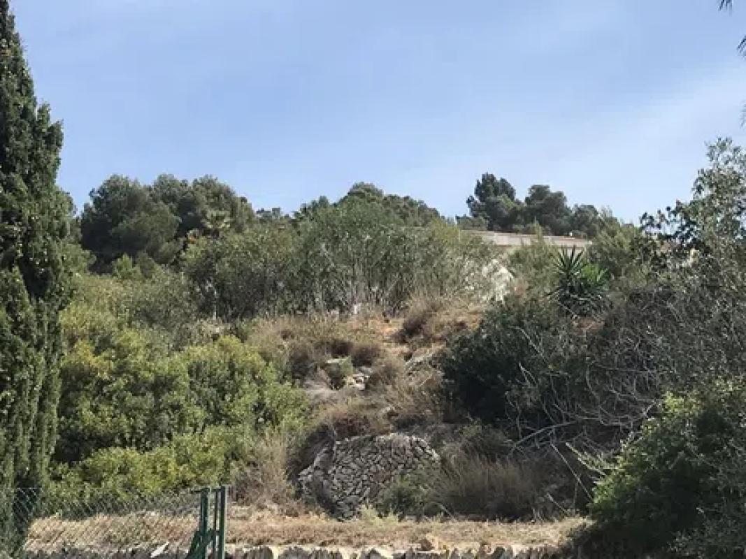 Terreno en venta en Calpe, Alicante photo 5