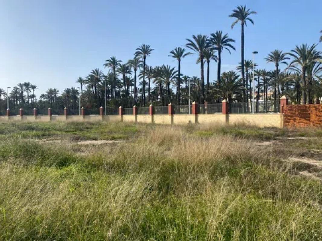 Terreno en venta en Elche / Elx, Alicante photo 2