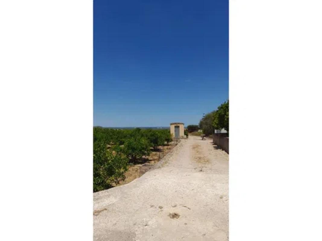 Land for sale in Pego, Alicante photo 2