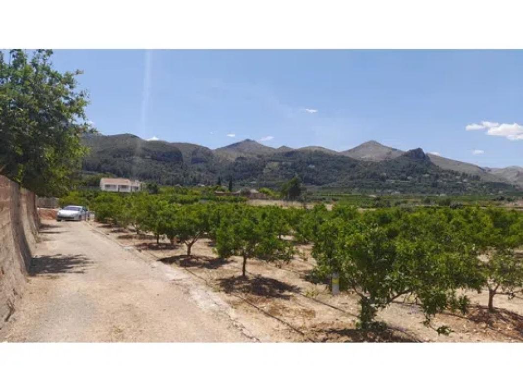 Land for sale in Pego, Alicante photo 3