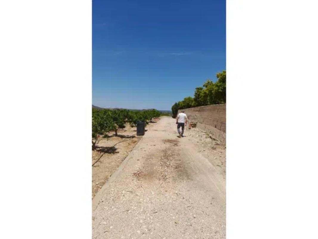 Land for sale in Pego, Alicante photo 5
