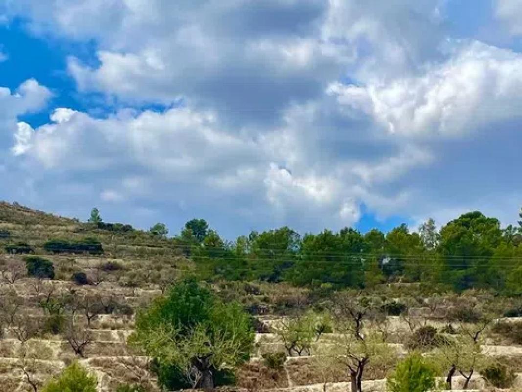 Land for sale in Relleu, Alicante photo 1