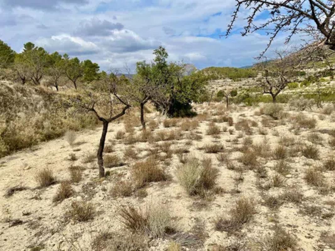 Land for sale in Relleu, Alicante photo 3