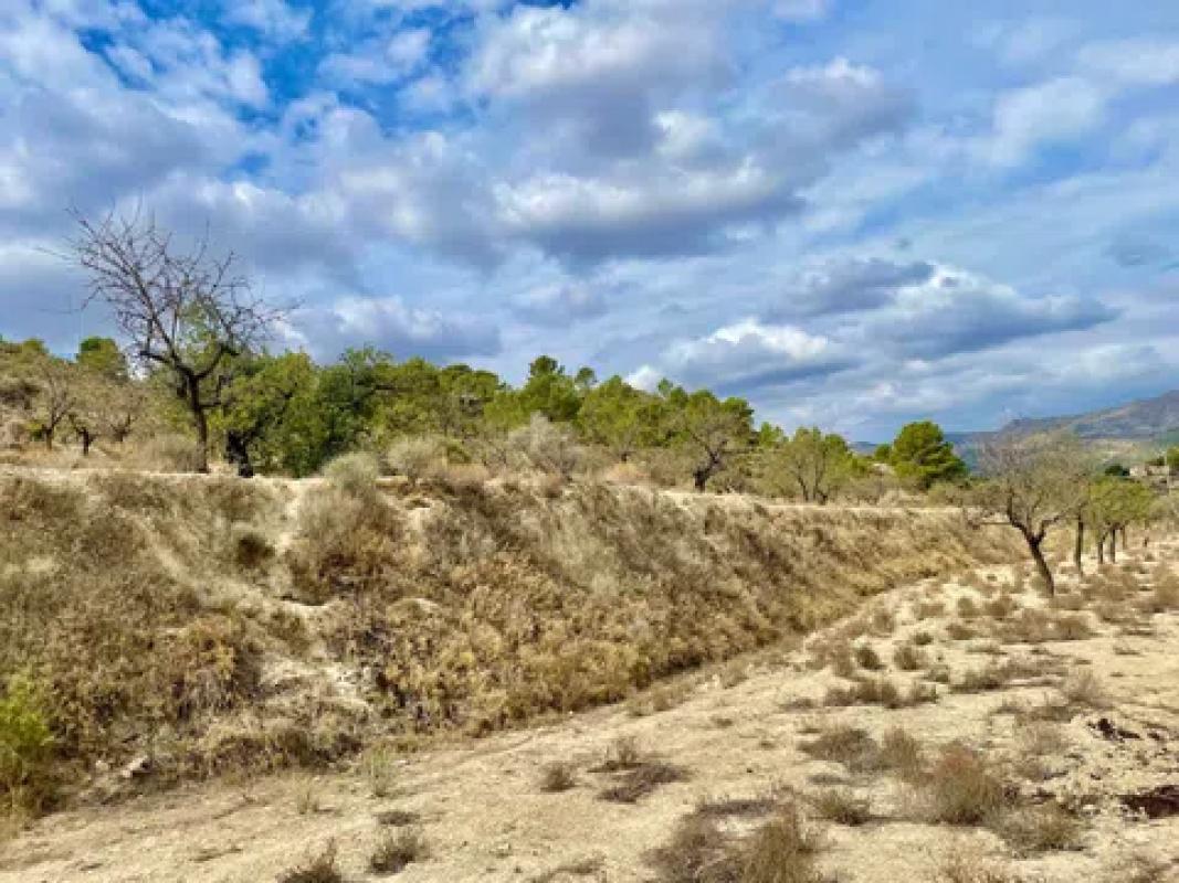 Land for sale in Relleu, Alicante photo 4