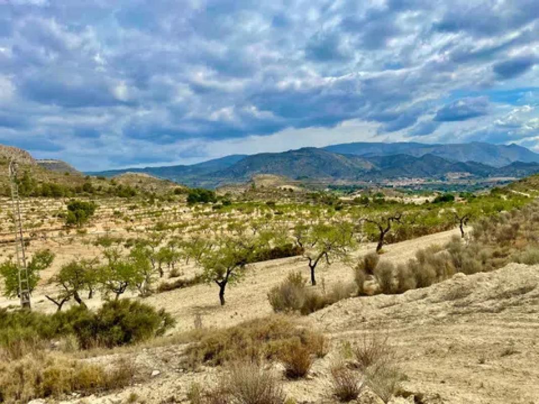 Land for sale in Relleu, Alicante photo 5
