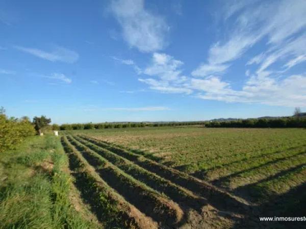 Terreno en Molins-Campaneta-San Bartolomé photo 4