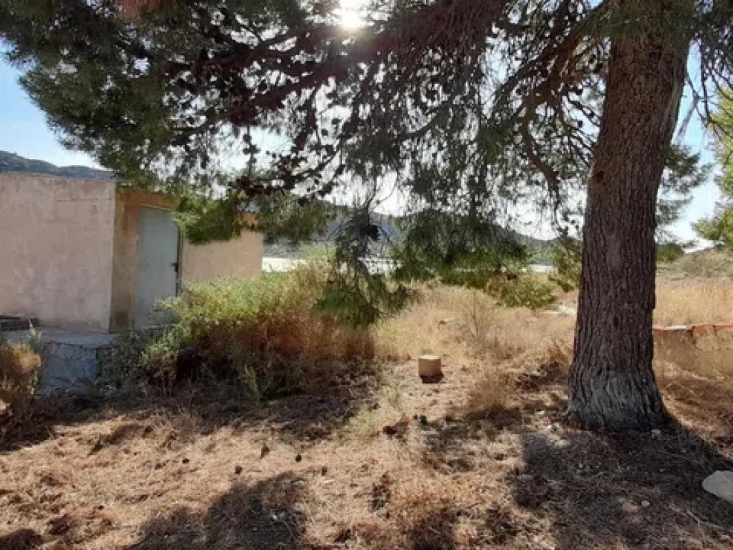Land for sale in Novelda, Alicante photo 1