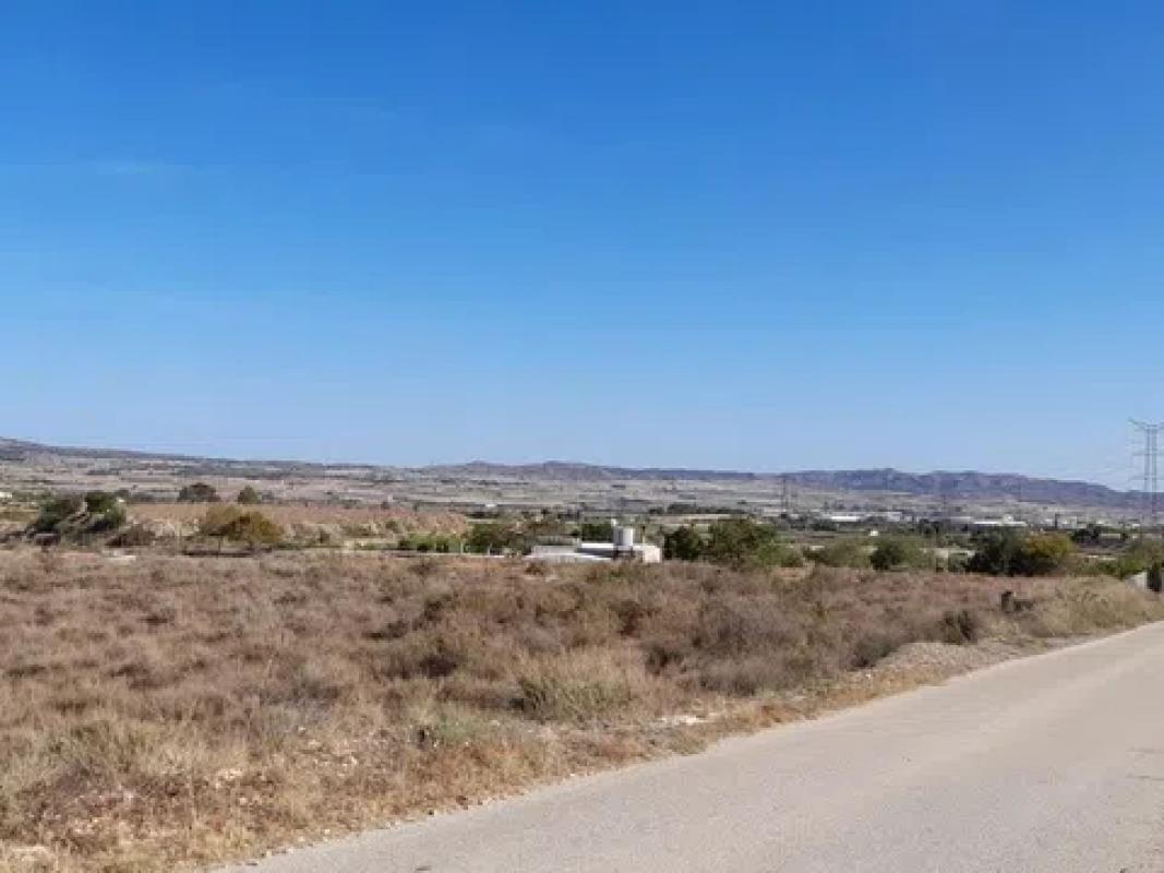 Land for sale in Novelda, Alicante photo 3