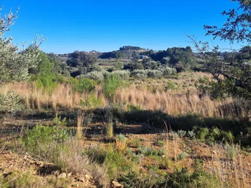 Terreno en venta en Mutxamel, Alicante photo 2