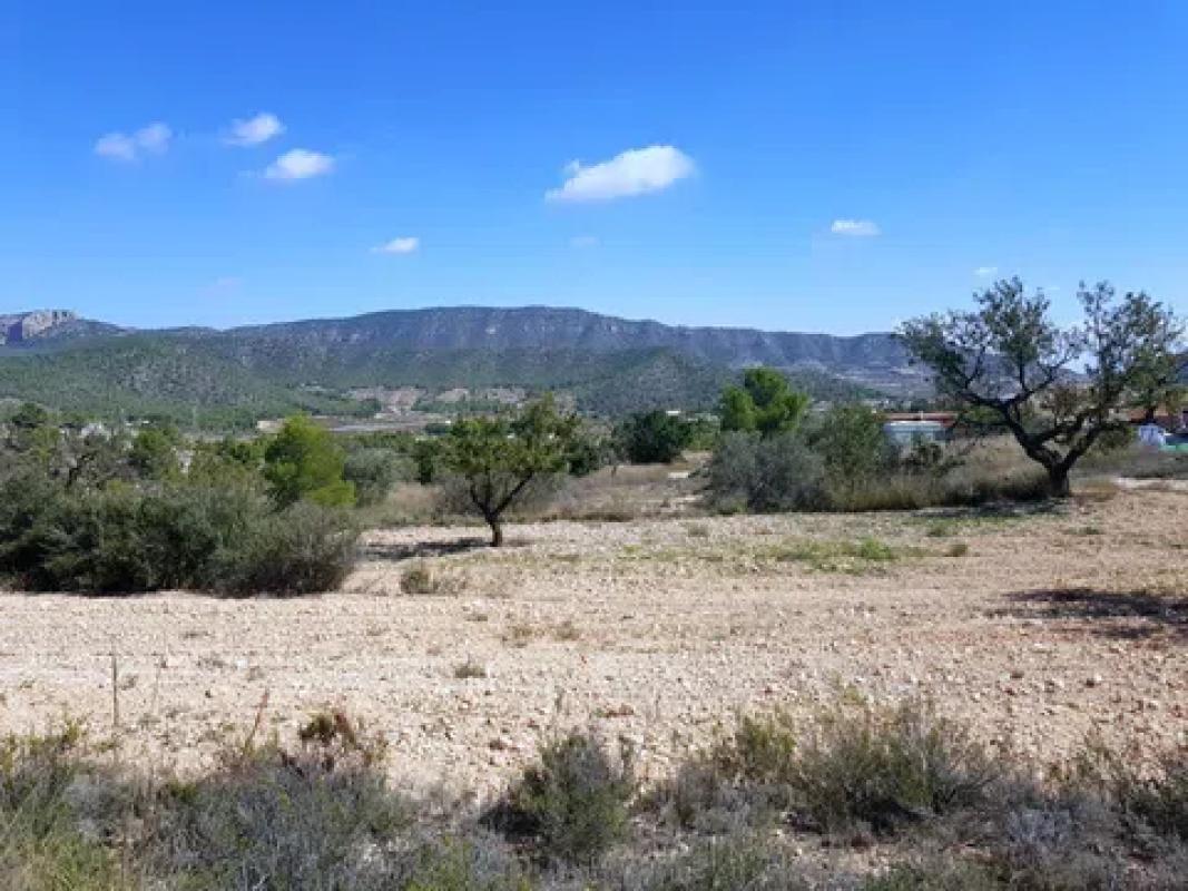 Land for sale in Monovar, Alicante photo 2