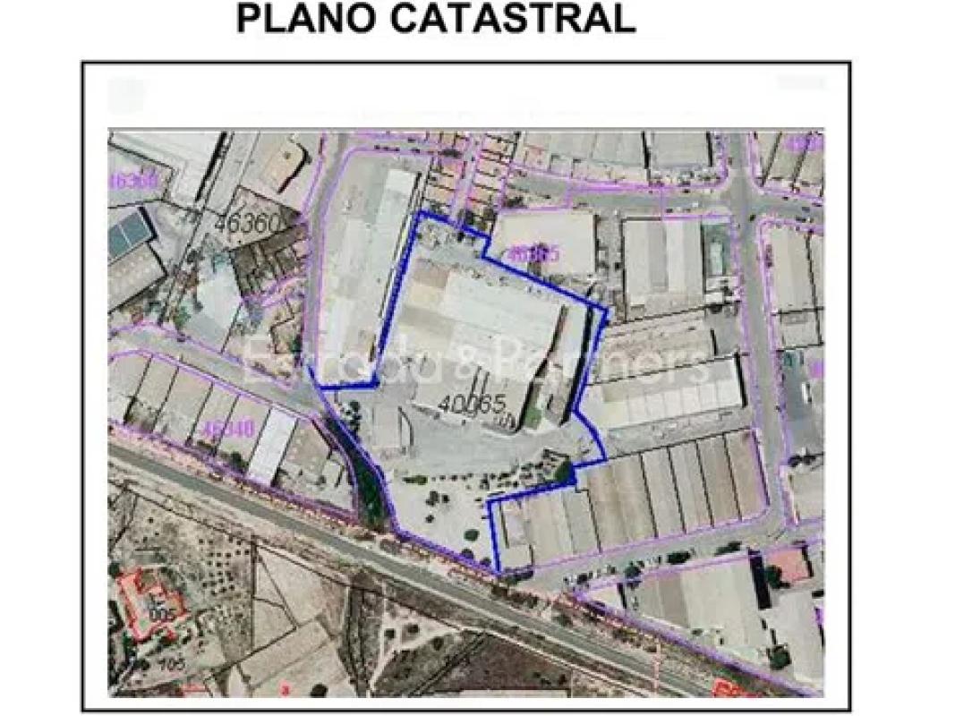 Terreno en venta en Cañada del Fenollar, Alicante photo 3