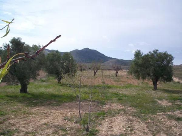 Terreno en camino El Rebalso s/n photo 1