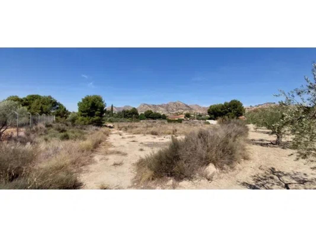 Terreno en venta en Cañada del Fenollar, Alicante photo 4