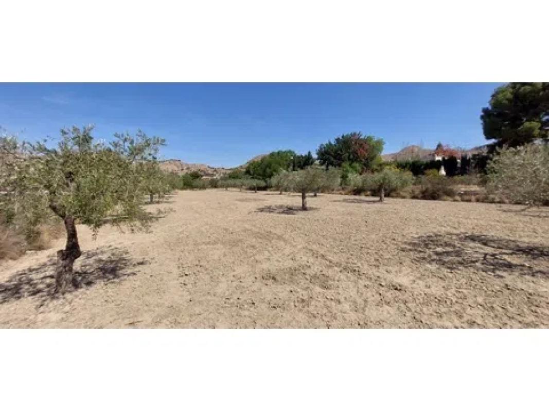 Terreno en venta en Cañada del Fenollar, Alicante photo 5