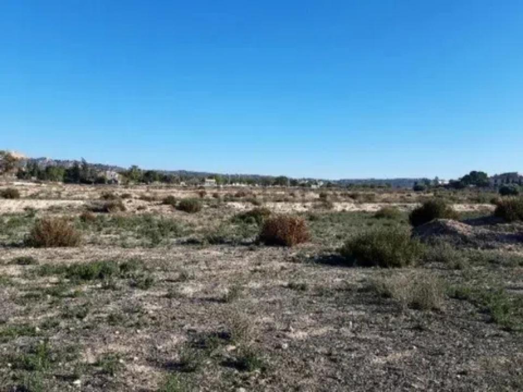 Land for sale in August, Alicante photo 2