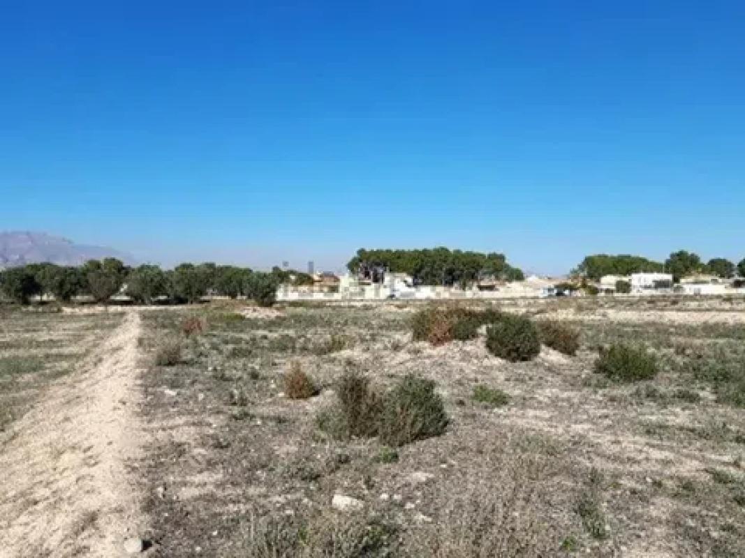 Land for sale in August, Alicante photo 3