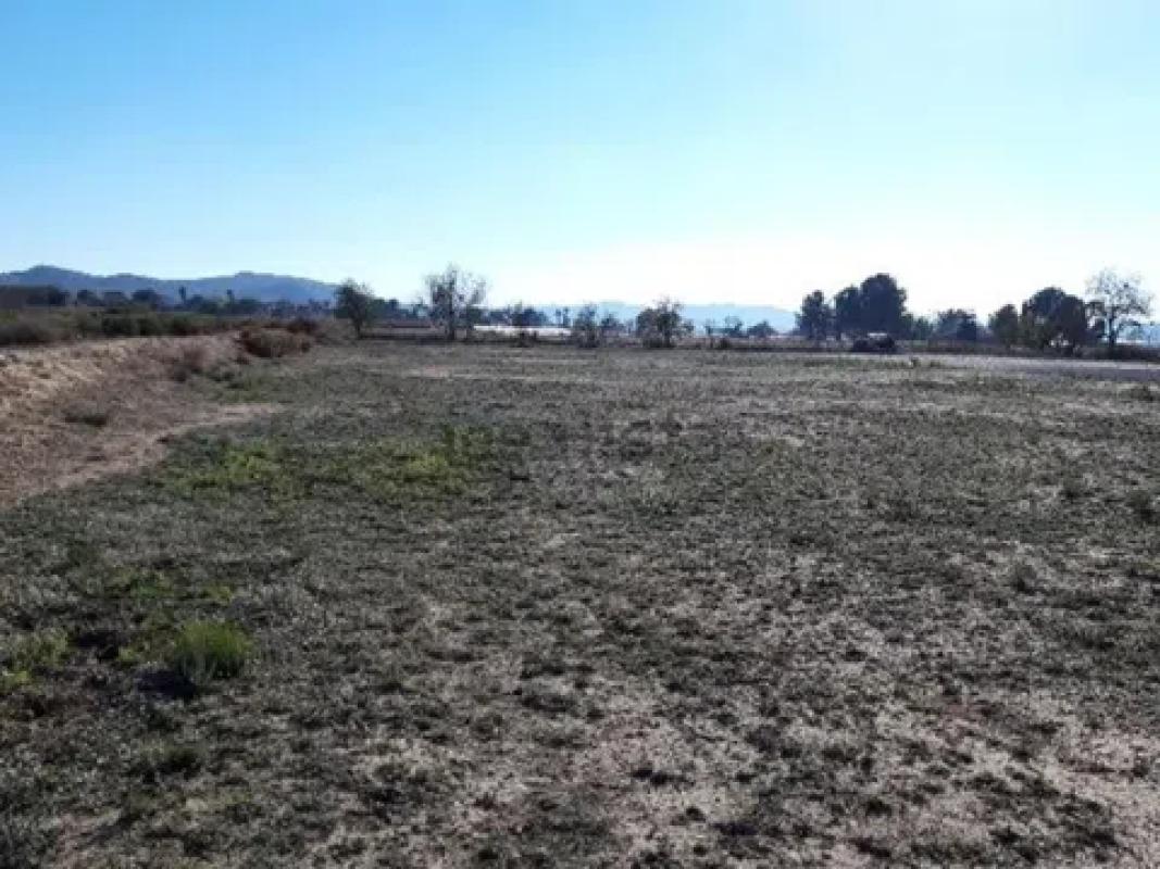 Land for sale in August, Alicante photo 4