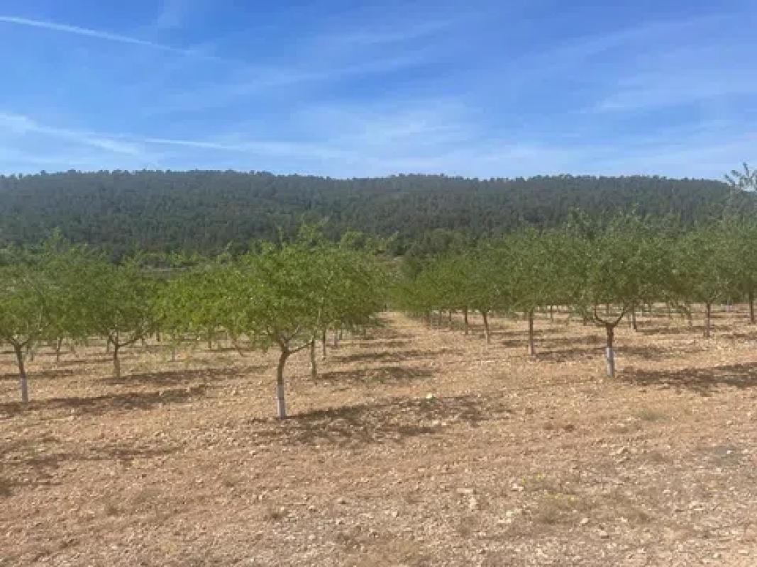 Terreno en venta en La Romana, Alicante photo 1