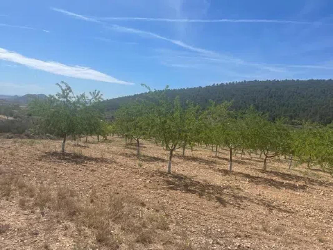 Terreno en venta en La Romana, Alicante photo 2