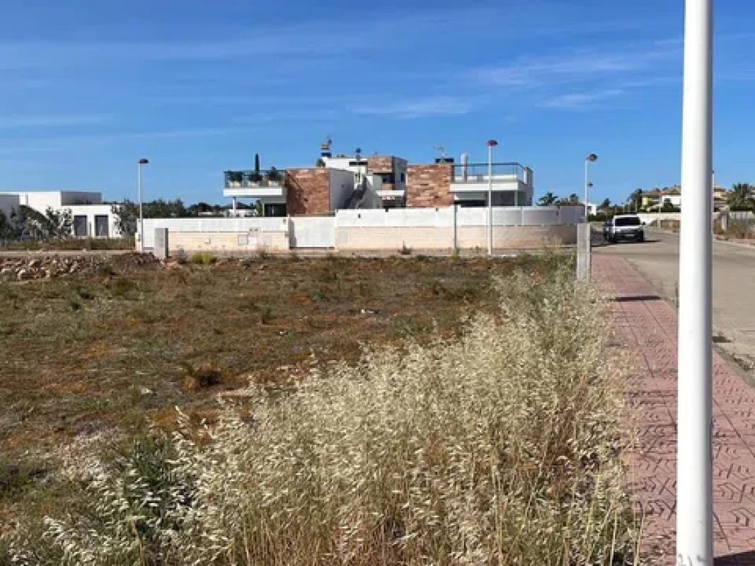 Land for sale in Els Poblets, Alicante photo 4