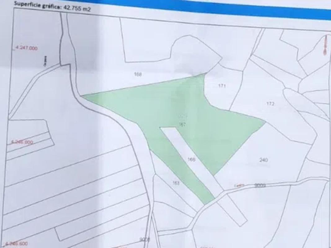 Land for sale in Pinoso, Alicante plan 1
