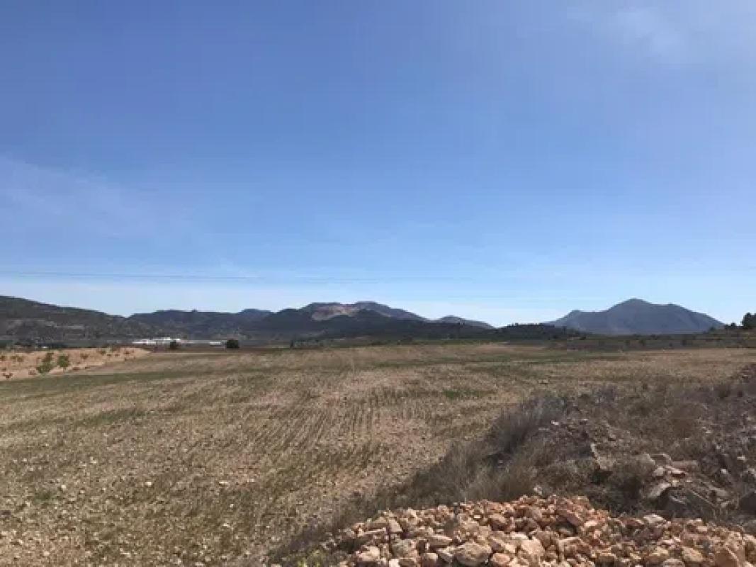 Land for sale in Pinoso, Alicante photo 1