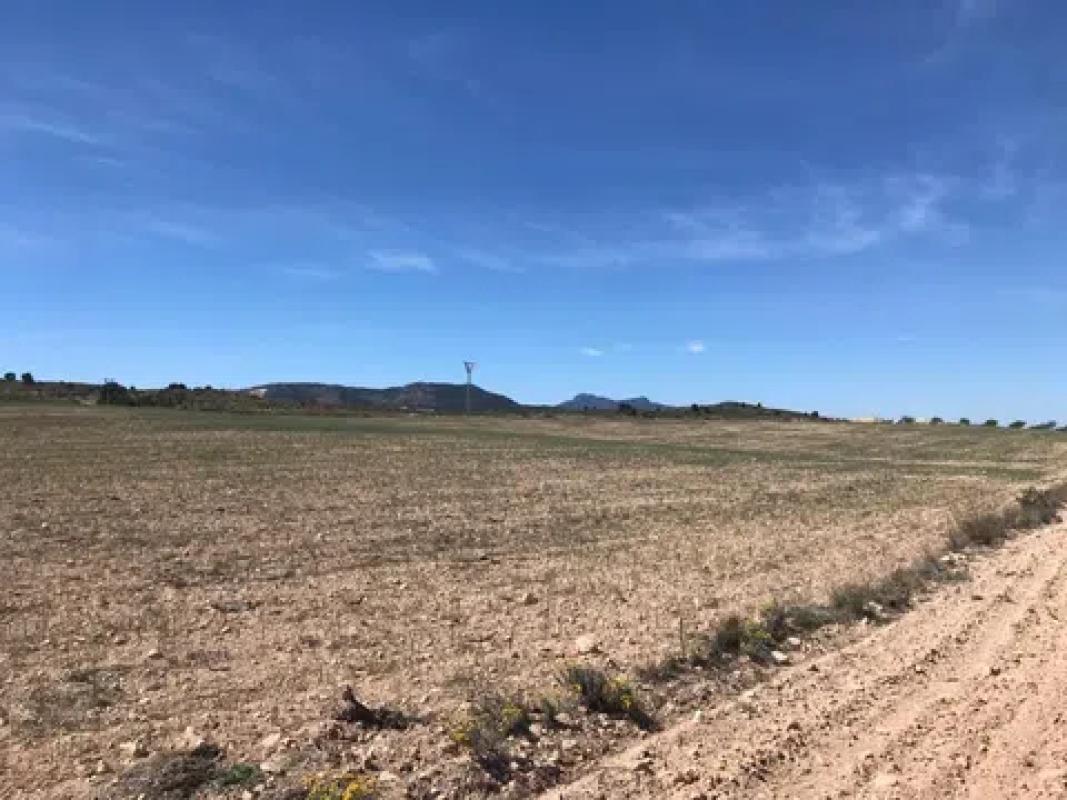 Land for sale in Pinoso, Alicante photo 4