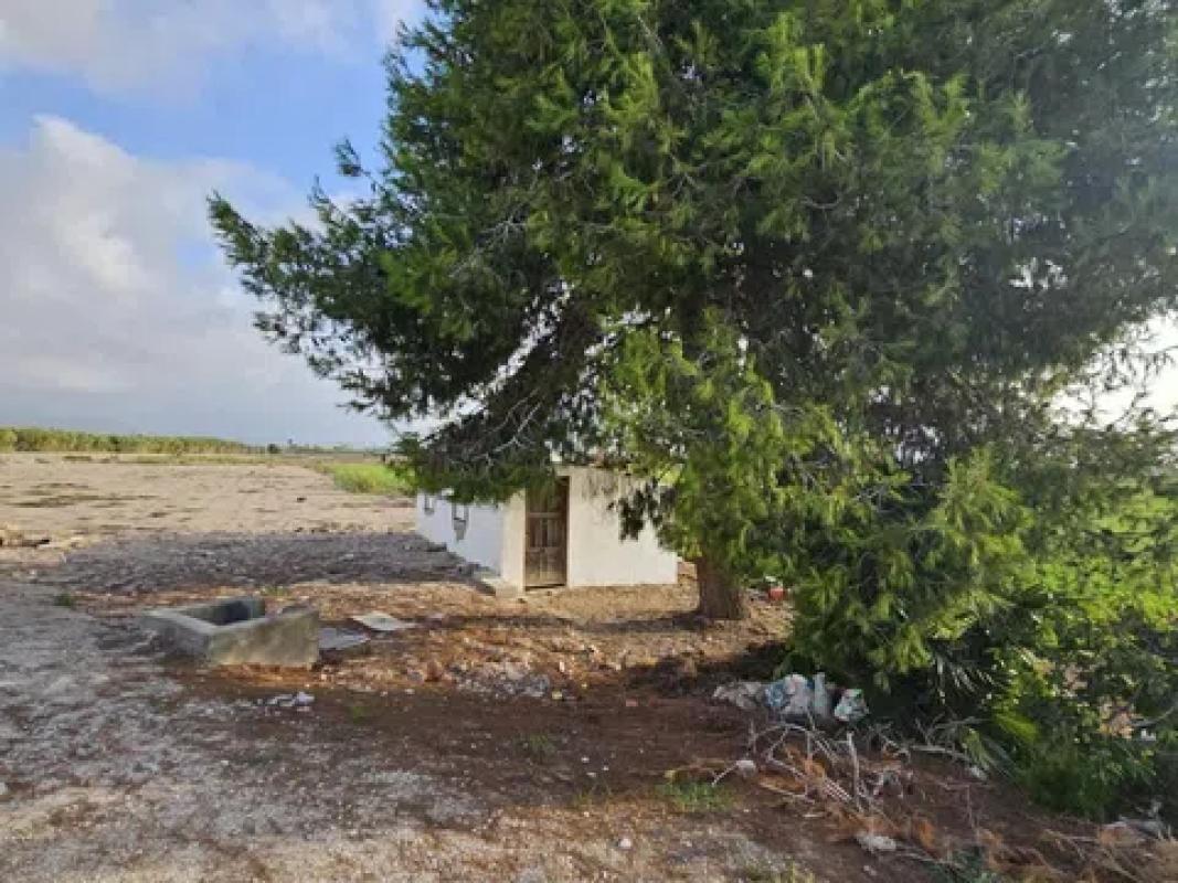 Terreno en venta en Dolores, Alicante photo 5